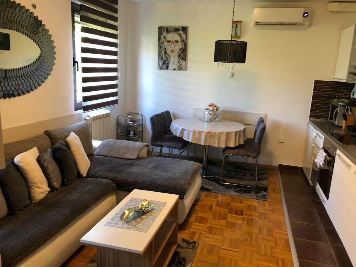 Apartment Sweet Dreams-Close To Zoo,Dinamo Stadium And The City Center Zágráb Kültér fotó